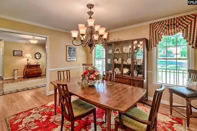 307 Old Bush River Road, Chapin, SC 29036 - Photo 8