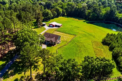 307 Old Bush River Road, Chapin, SC 29036 - Photo 2