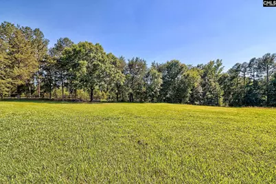 307 Old Bush River Road, Chapin, SC 29036 - Photo 52