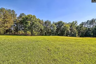 307 Old Bush River Rd, Chapin, SC 29036 - Photo 52