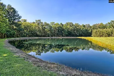 307 Old Bush River Road, Chapin, SC 29036 - Photo 44
