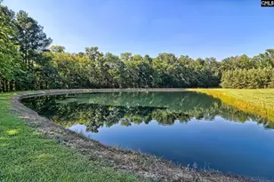 307 Old Bush River Rd, Chapin, SC 29036 - Photo 44