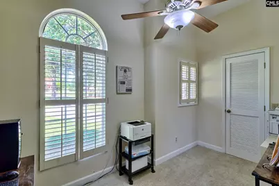 307 Old Bush River Road, Chapin, SC 29036 - Photo 26