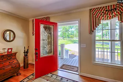 307 Old Bush River Road, Chapin, SC 29036 - Photo 4