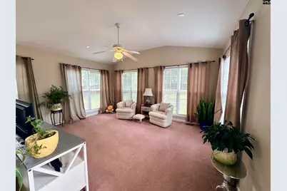 227 Letha Lane, Lexington, SC 29072 - Photo 26