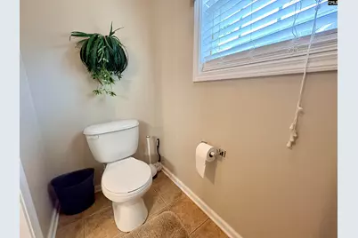 227 Letha Lane, Lexington, SC 29072 - Photo 34