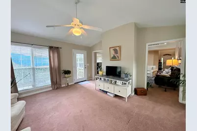 227 Letha Lane, Lexington, SC 29072 - Photo 28