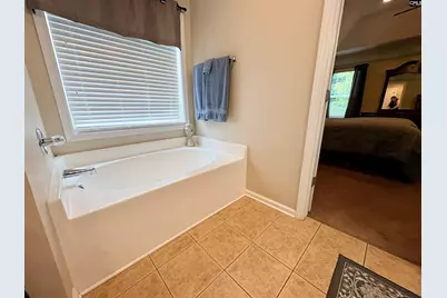 227 Letha Lane, Lexington, SC 29072 - Photo 36