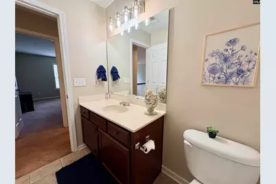 227 Letha Lane, Lexington, SC 29072 - Photo 44
