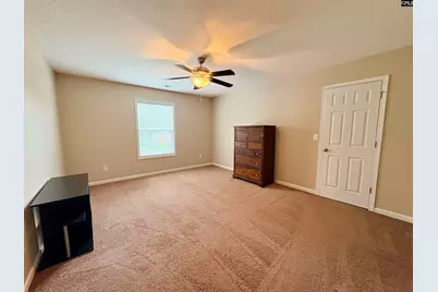 227 Letha Lane, Lexington, SC 29072 - Photo 44