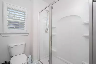320 Brenthaven Drive, Chapin, SC 29036 - Photo 36