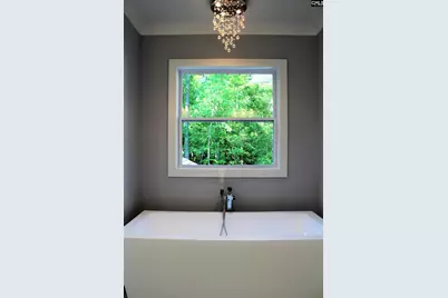 100 King Lees Court, Lexington, SC 29072 - Photo 50