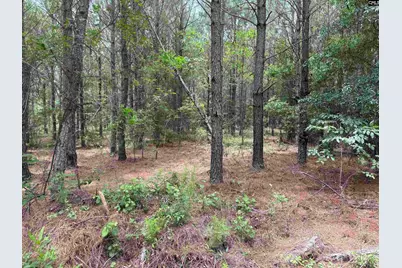 00 Seivern Road #7-A, Wagener, SC 29164 - Photo 2