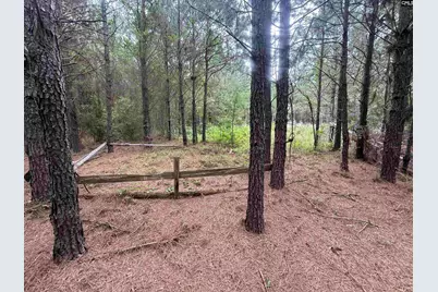 00 Seivern Road #7-A, Wagener, SC 29164 - Photo 8