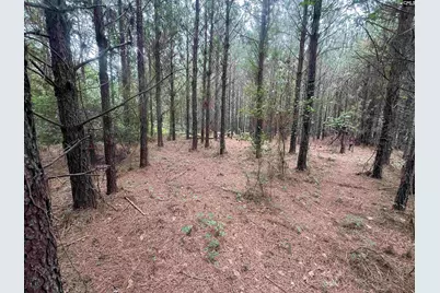00 Seivern Road #7-A, Wagener, SC 29164 - Photo 6