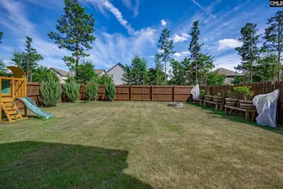 525 Red Taffy Way, Lexington, SC 29073 - Photo 46