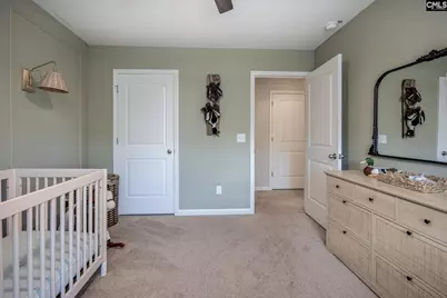 525 Red Taffy Way, Lexington, SC 29073 - Photo 36