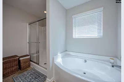 525 Red Taffy Way, Lexington, SC 29073 - Photo 34