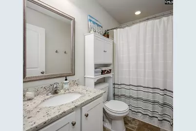 525 Red Taffy Way, Lexington, SC 29073 - Photo 40