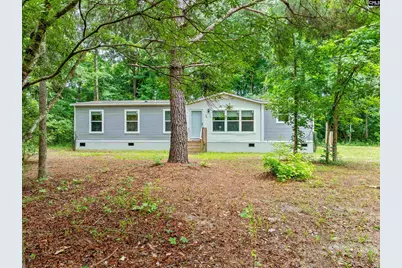 193 Mott Road, Cope, SC 29038 - Photo 2