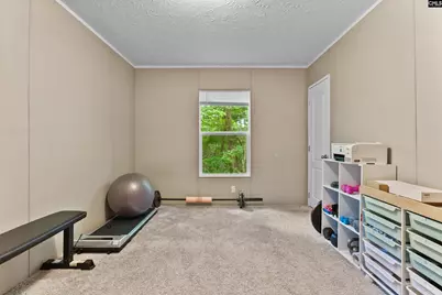 193 Mott Road, Cope, SC 29038 - Photo 20