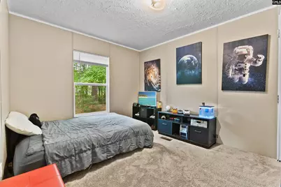 193 Mott Road, Cope, SC 29038 - Photo 18