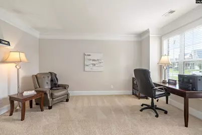 645 Needle Leaf Drive, Blythewood, SC 29016 - Photo 20