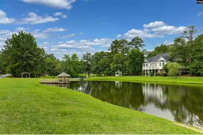 9 Ashfield Lane, Blythewood, SC 29016 - Photo 66