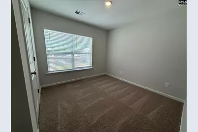 329 Pinaster Path, West Columbia, SC 29170 - Photo 22