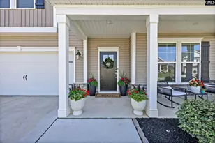 209 Chapin Pl Wy, Chapin, SC 29036 - Photo 2