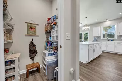 209 Chapin Place Way, Chapin, SC 29036 - Photo 14
