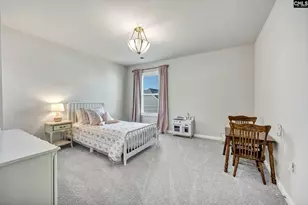 209 Chapin Pl Wy, Chapin, SC 29036 - Photo 38