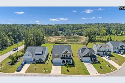 209 Chapin Place Way, Chapin, SC 29036 - Photo 48