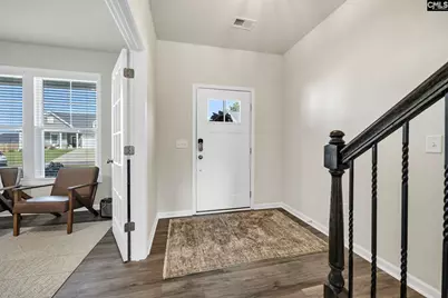 209 Chapin Place Way, Chapin, SC 29036 - Photo 4