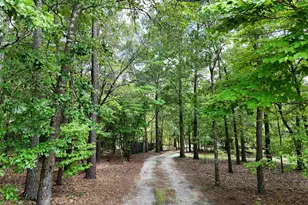 2559 Bowen St, Elgin, SC 29045 - Photo 32