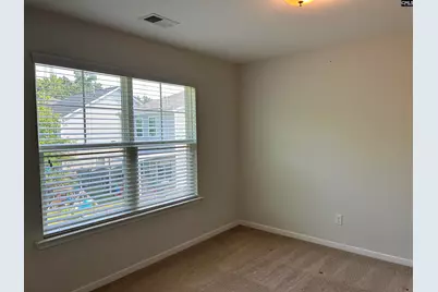 309 Lanyard Lane, Chapin, SC 29036 - Photo 48