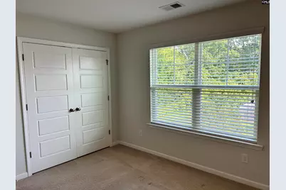 309 Lanyard Lane, Chapin, SC 29036 - Photo 46