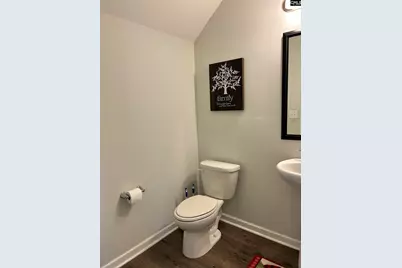 309 Lanyard Lane, Chapin, SC 29036 - Photo 26