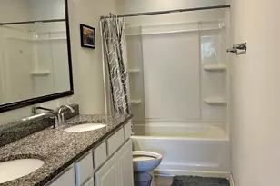 309 Lanyard Ln, Chapin, SC 29036 - Photo 50
