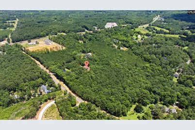 149 Primrose Lane, Chapin, SC 29036 - Photo 68