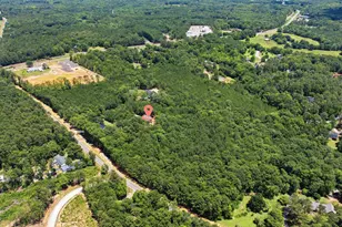 149 Primrose Ln, Chapin, SC 29036 - Photo 68