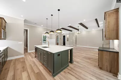 149 Primrose Lane, Chapin, SC 29036 - Photo 42