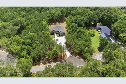 149 Primrose Lane, Chapin, SC 29036 - Photo 64