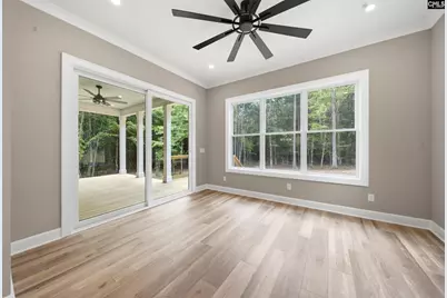 149 Primrose Lane, Chapin, SC 29036 - Photo 46