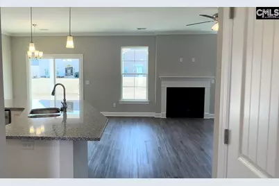 262 Secretariat Street, Lexington, SC 29073 - Photo 4