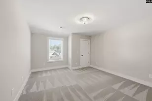 133 Collins Cv Dr, Chapin, SC 29036 - Photo 36
