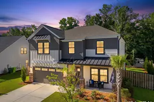 133 Collins Cv Dr, Chapin, SC 29036 - Photo 56