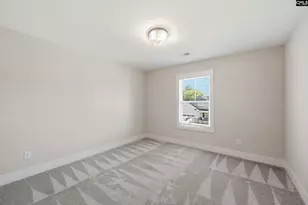 133 Collins Cv Dr, Chapin, SC 29036 - Photo 34