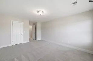 133 Collins Cv Dr, Chapin, SC 29036 - Photo 40