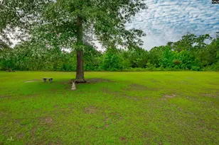 235 Sorin Cir, Elloree, SC 29047 - Photo 46